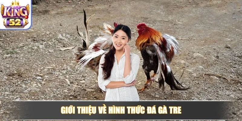 Giới thiệu về hình thức đá gà tre