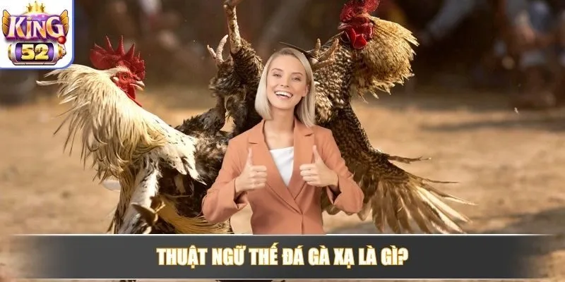 Thuật ngữ thế đá gà xạ là gì?